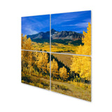 Dye Sublimation Gloss Aluminum Wall Prints