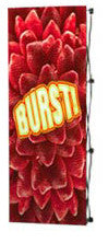 VBurst 1x3 Banner Stand (click below for pricing options)